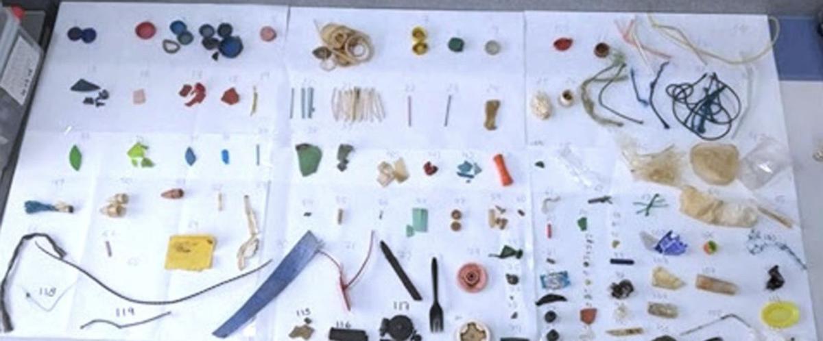 Muestra de plásticos recogidos en las playas del Mar Menor y del Mediterráneo.