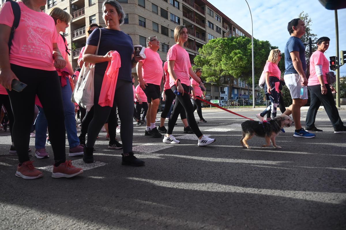 Así fue la marcha solidaria contra el cáncer de mama del 2024 - El ...