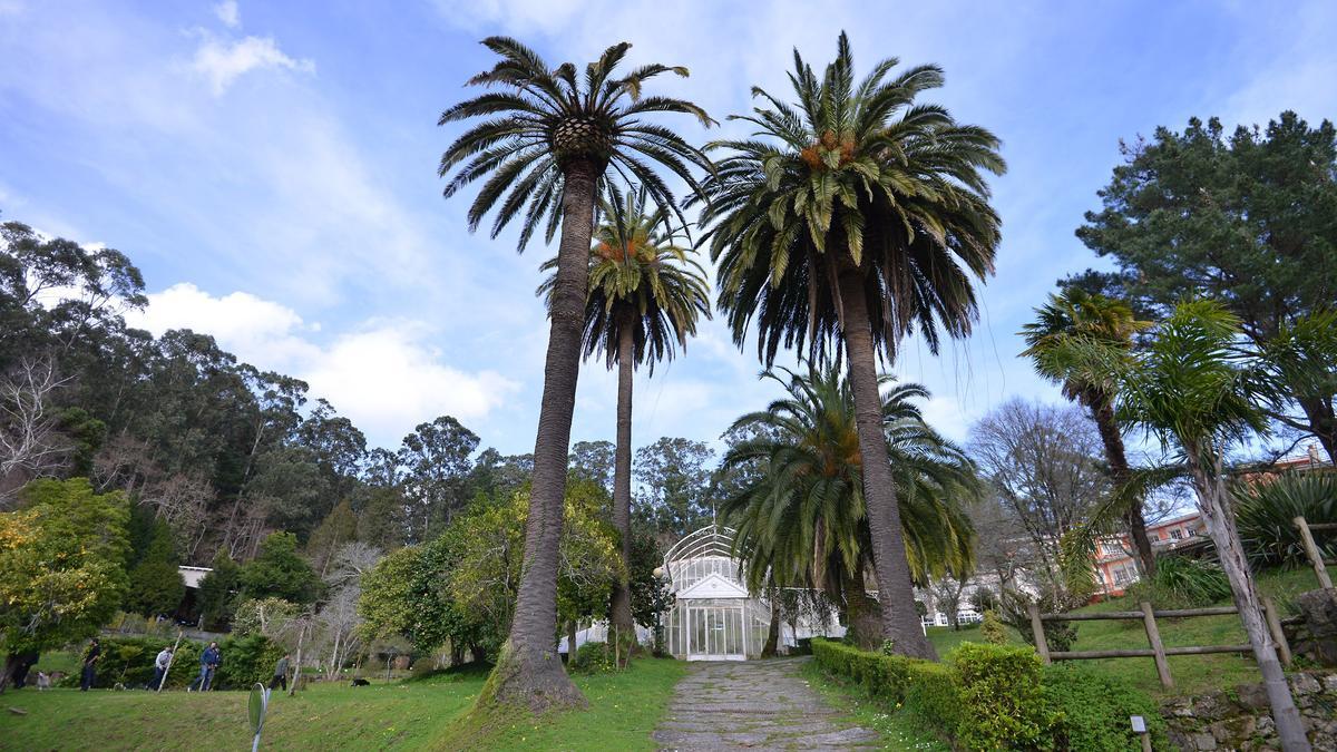 Los jardines de Lourizán: un vergel de 54 hectáreas con "árbores senlleiras"