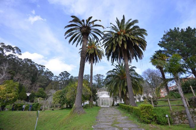 Los jardines de Lourizán: un vergel de 54 hectáreas con "árbores senlleiras"