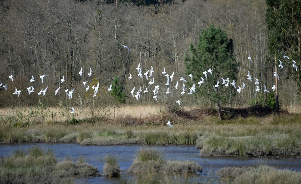 En Vilaboa existen los restos de unas salinas del siglo XVII que han sido restauradas en la primera década del siglo XXI cuyo nombre hereda de la zona en la que se encuentran, Ulló.