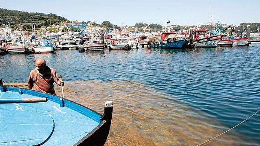 La flota de la Confraría de Bueu ayer permaneció amarrada a puerto.