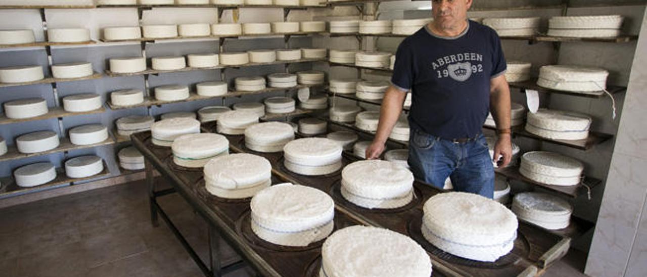 El ganadero Bernardo Peña, en la sala de maduración de quesos majoreros, ubicada en Llanos de la Concepción.