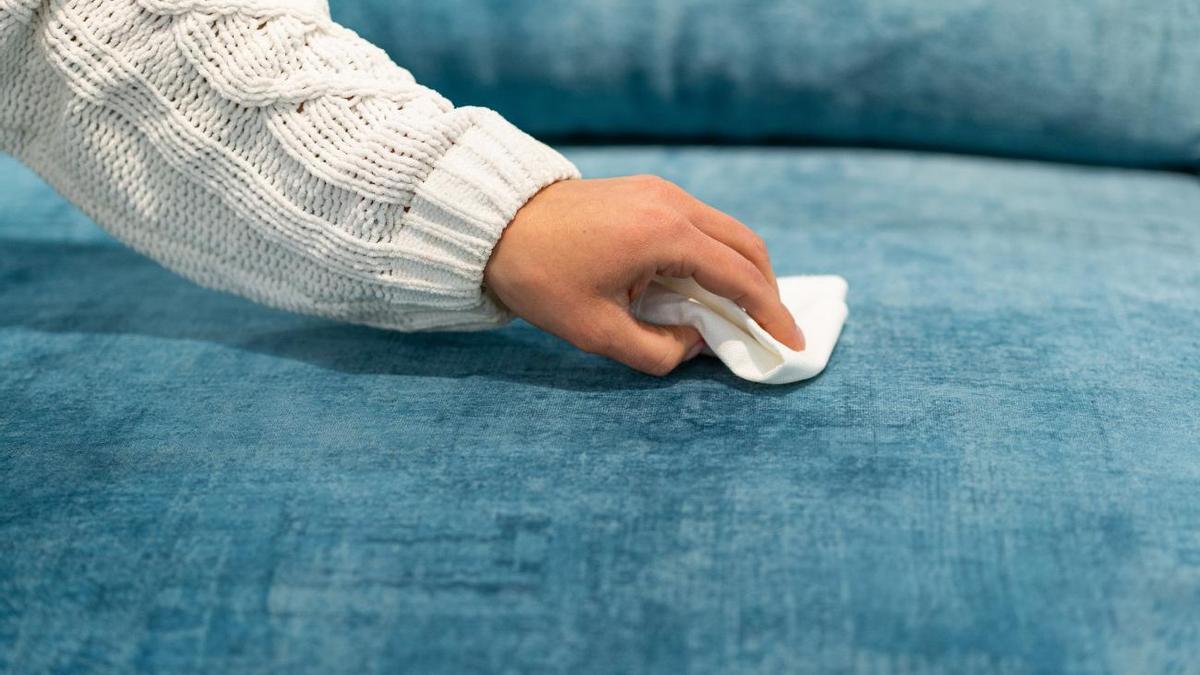 LIMPIAR SOFÁ  Cómo limpiar un sofá de tela: el truco casero para que quede  como nuevo