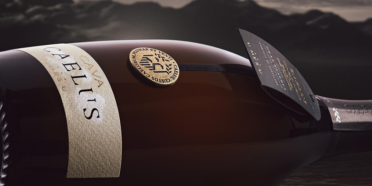 En Caelus la variedad pinot noir conserve su esencia