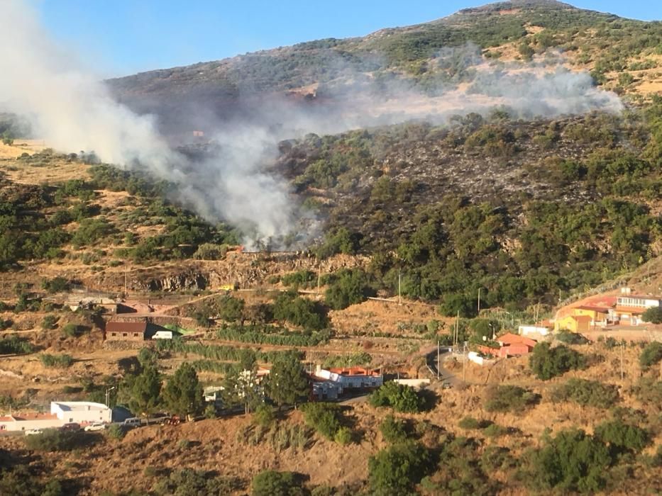 Incendio en Telde e Ingenio