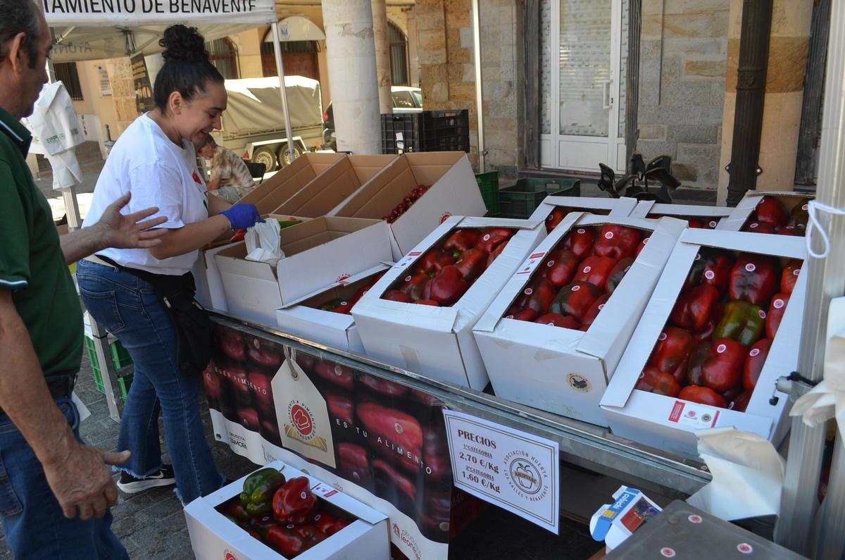 Pimiento morrón certificado, en la Feria del Pimiento de Benavente.