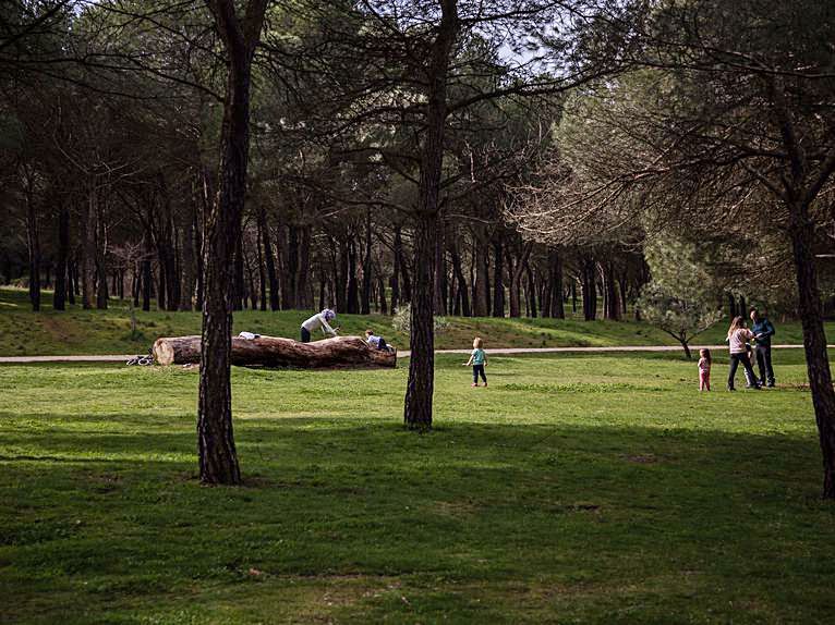 Valorio, el pulmón verde de Zamora. | Nico Rodríguez