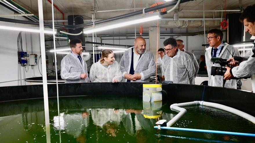 La pesquera Cooke eclosiona en el mercado europeo con la compra de la española Avramar