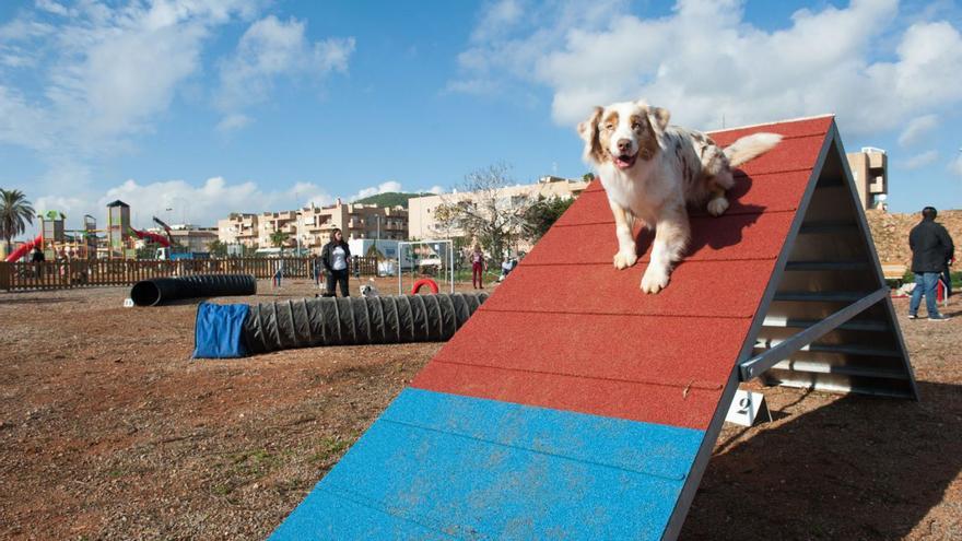 Imagen de archivo de la inauguración del parque canino de Santa Eulària.