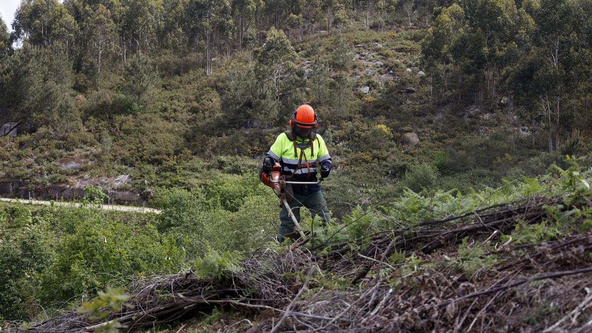 El 30% del monte está sin limpiar: de propietarios desconocidos a fallos catastrales
