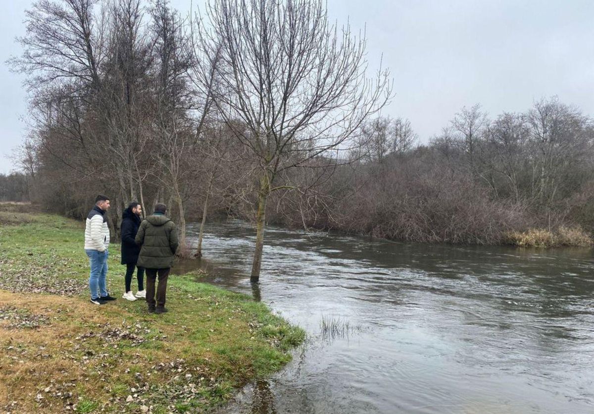 El subdelegado observa una isla de vegetación junto al alcalde pedáneo de Olmilllos, Iván Santos, y un concejal. | J. A. G.