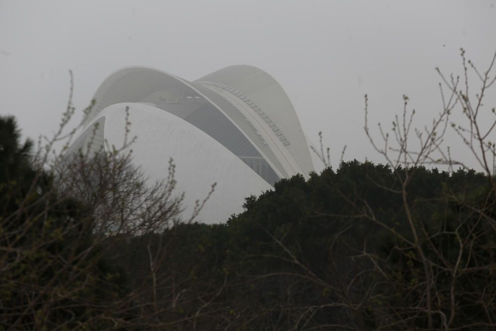 Valencia amanece bajo la niebla