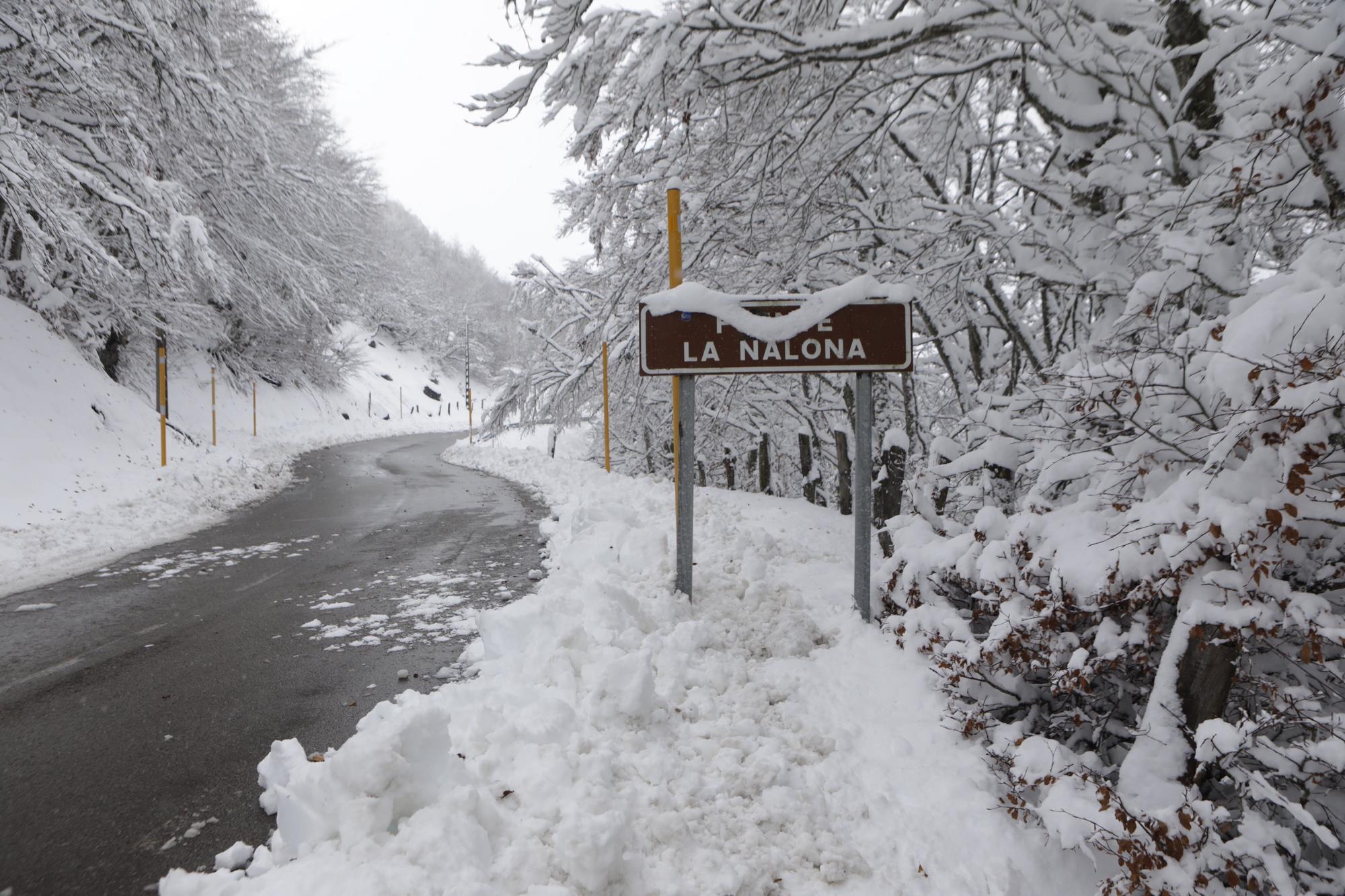 Temporal en Asturias: Así luce el pueblo de Tarna bajo un gran manto blanco