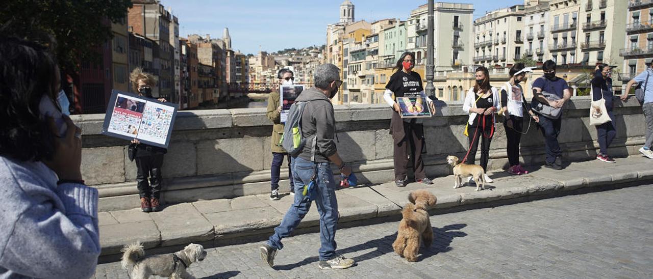 Concentració a Girona per reclamar l&#039;alliberament dels animals de Vivotecnia de Madrid