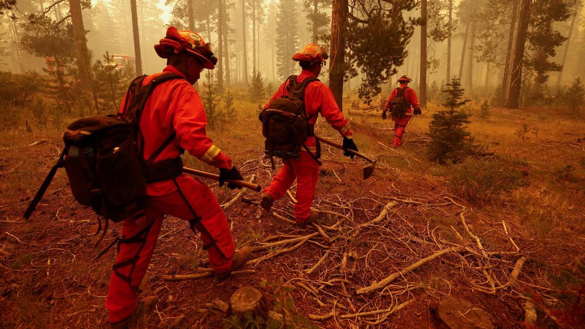 Un grupo de bomberos, en California.