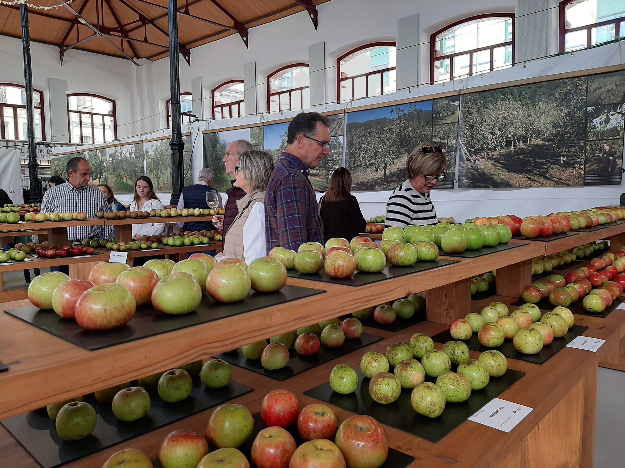 Los premios del Festival de la Manzana de Villaviciosa, en imágenes