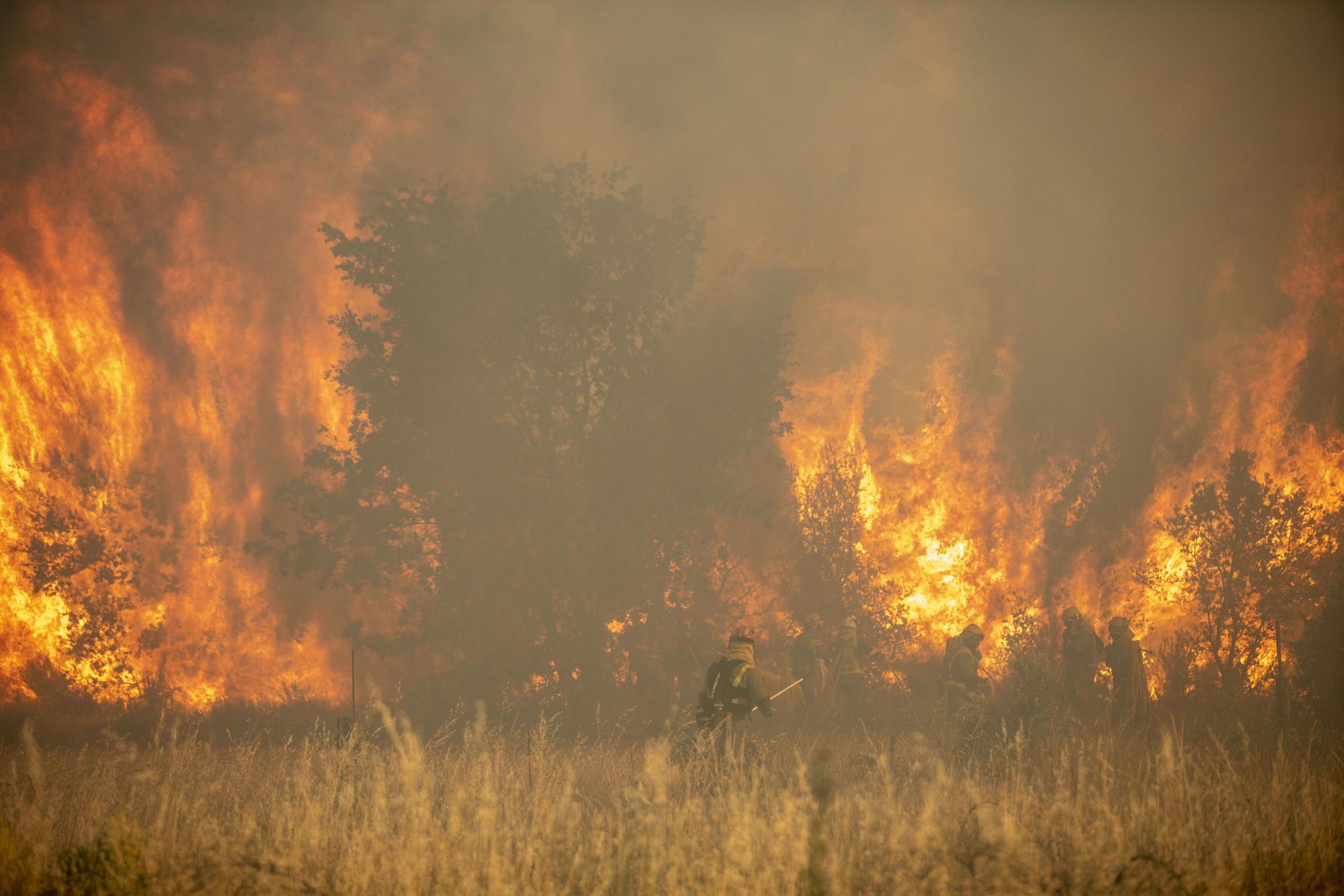 GALERÍA | El incendio de la Sierra de la Culebra, en imágenes