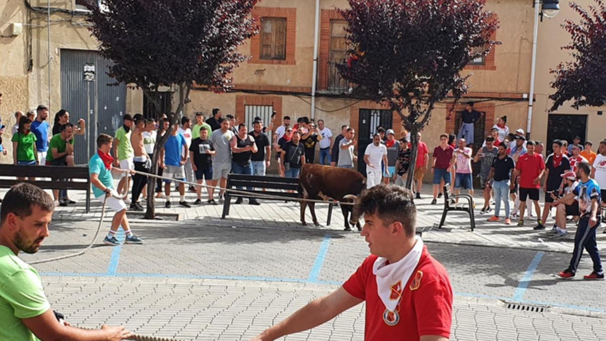 Recorrido del torito del alba de Benavente, por Plaza San Martín. / E. P.