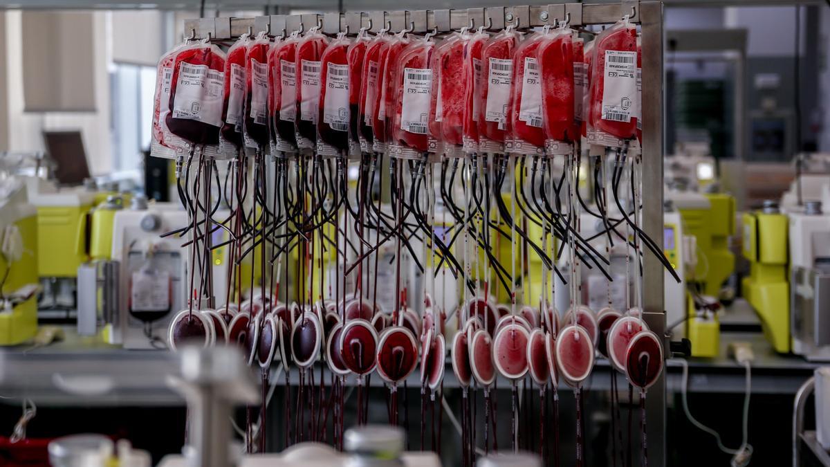 Archivo - Bolsas de sangre en el laboratorio del centro de Transfusión de Valdebernardo, en Madrid (España).