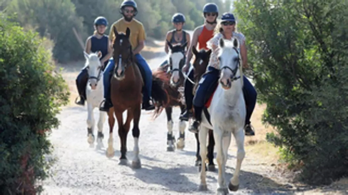 Conocer Córdoba a caballo