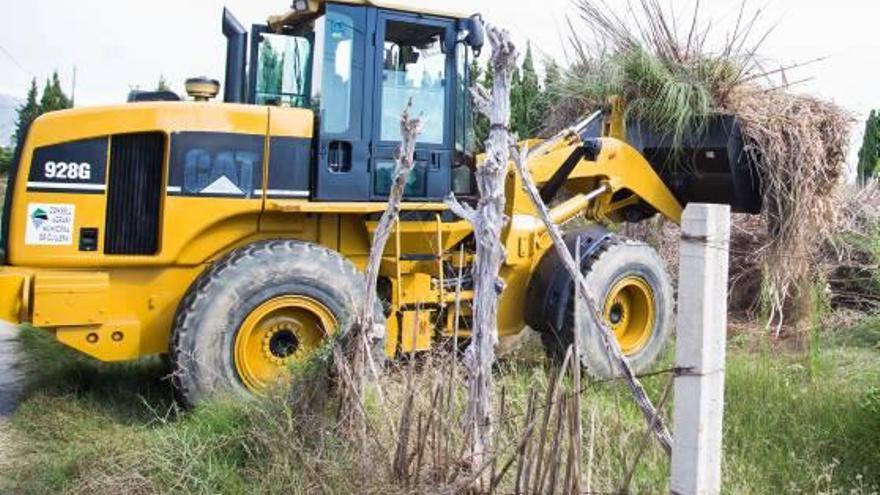 El Ayuntamiento de Cullera comienza a limpiar de     oficio tierras abandonadas