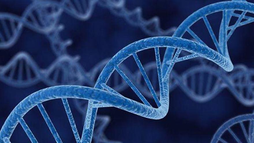 Dos genetistas asturianos descubren 50 nuevas regiones del genoma asociadas a la esquizofrenia