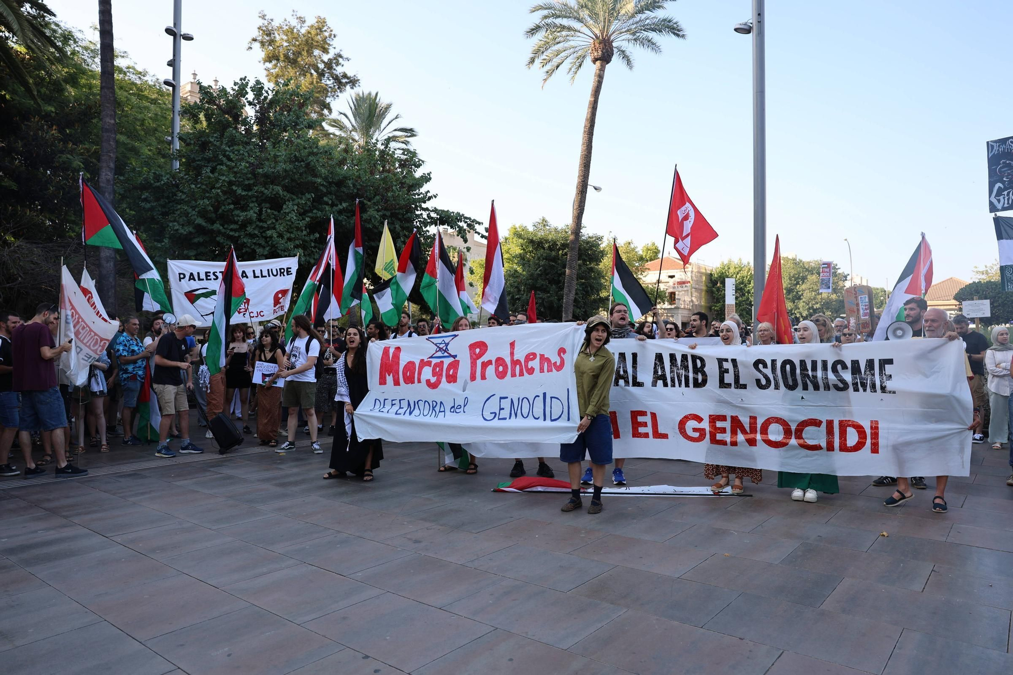 Multitudinaria manifestación por Palestina en Palma