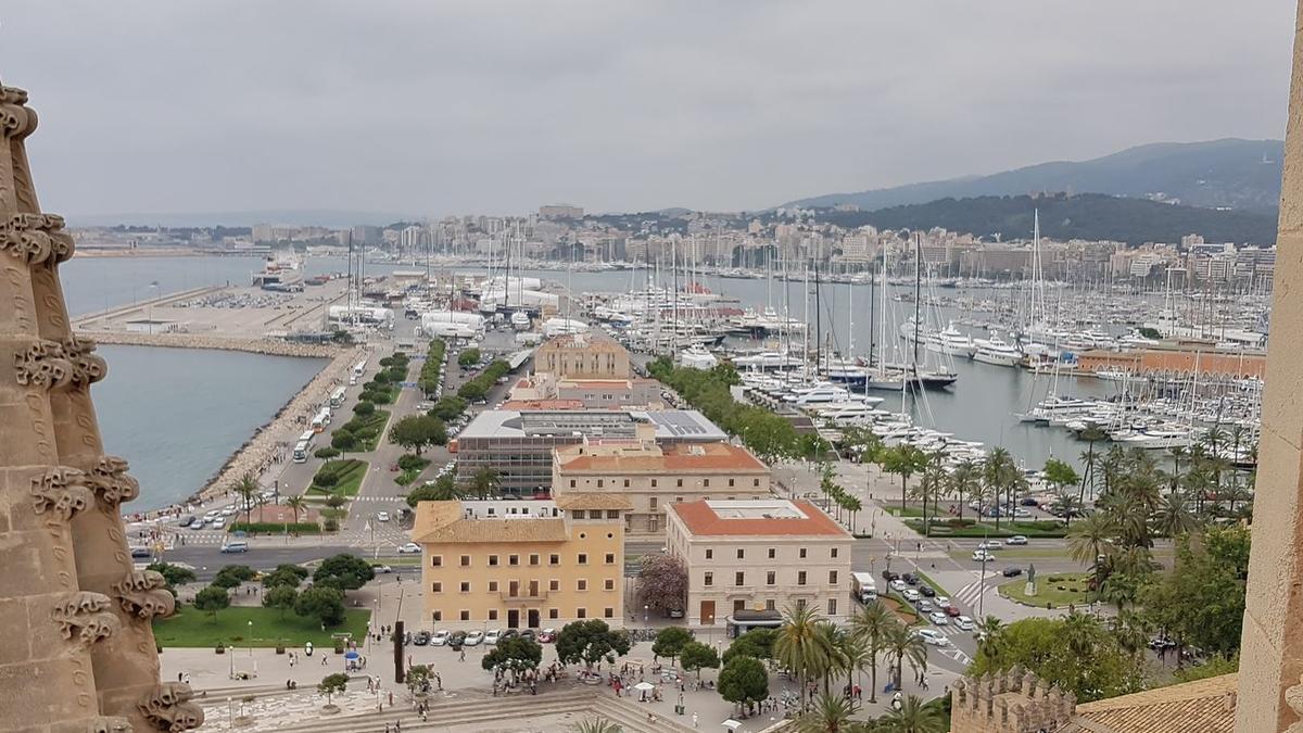 El Moll Vell visto desde las terrazas de la Seu, en donde se construirá el nuevo centro.