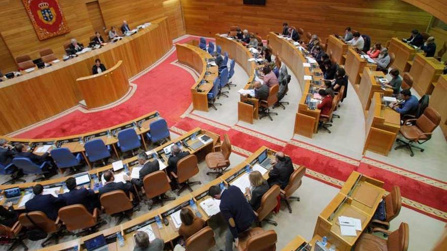 Sesión parlamentaria en O Hórreo.