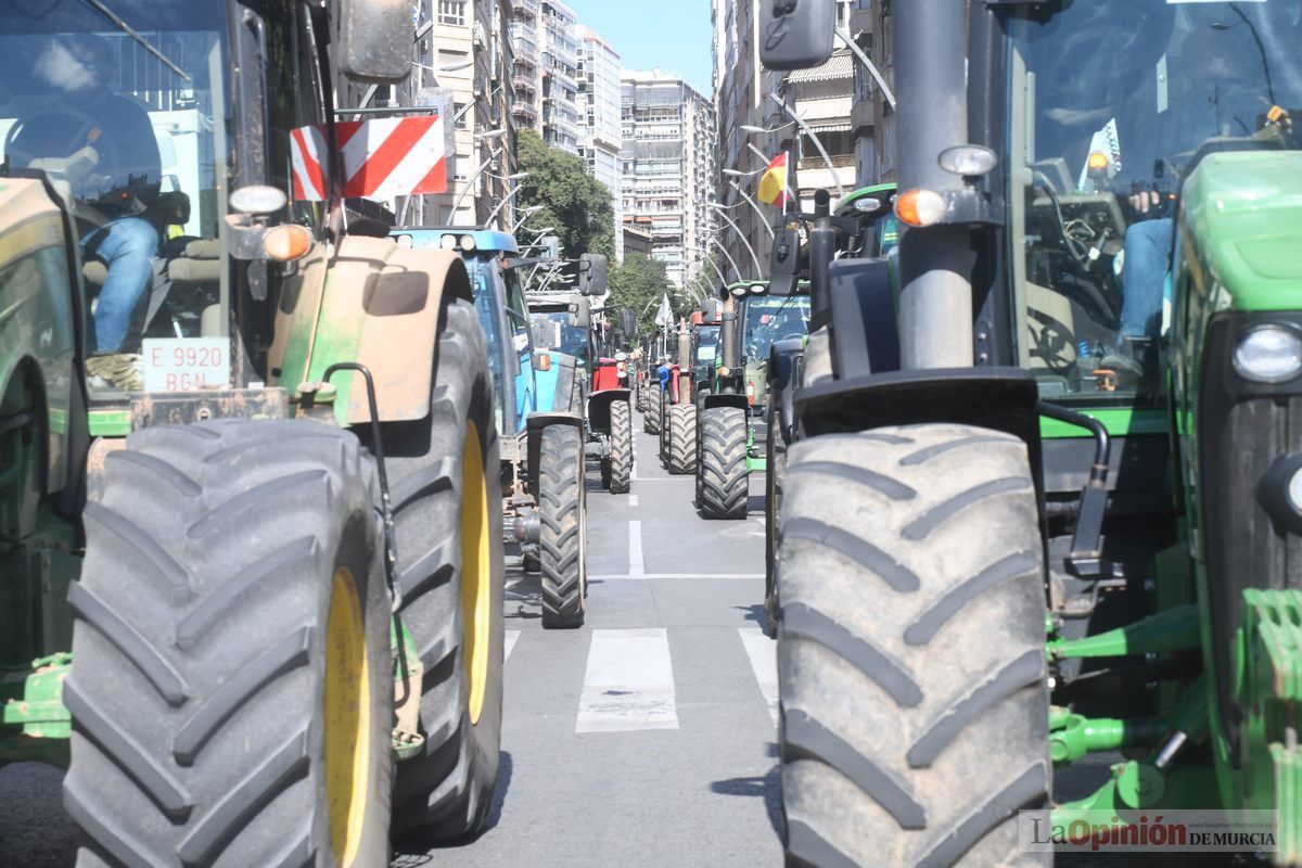 Miles de agricultores y ganaderos toman las calles de Murcia