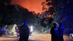 La fiscalia investiga «l’absència de plans de prevenció» d’incendis després de «la situació desastrosa» d’aquest estiu
