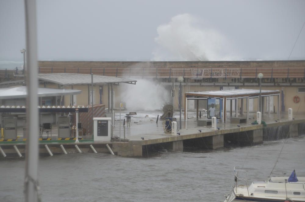 Los estragos del temporal en Mallorca