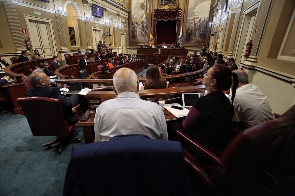 Pleno en el Parlamento de Canarias