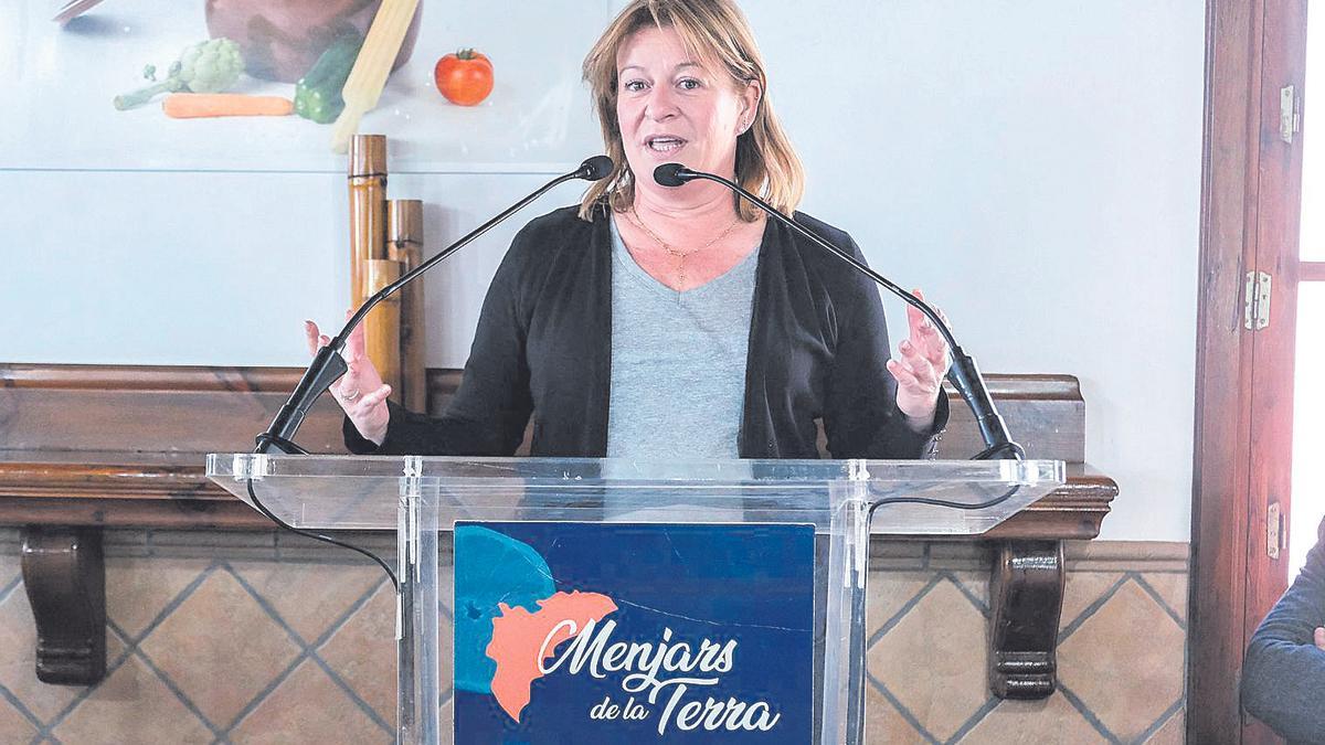 Ana Serna, vicepresidenta primera de la Diputación Provincial, durante