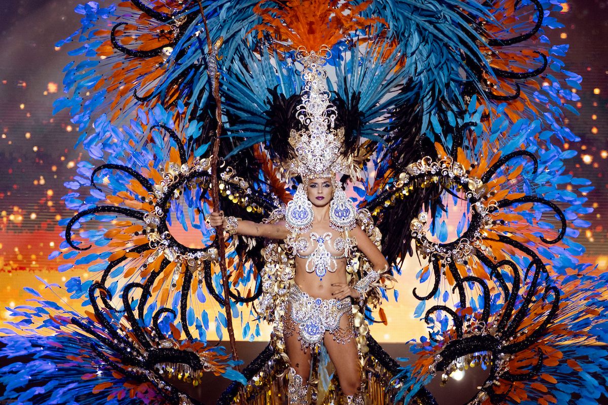 Amanda Perdomo Sanjuán, Reina del Carnaval 2014