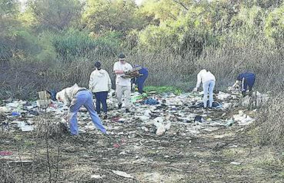 Un grupo de alumnos, durante las tareas de recogida de residuos.