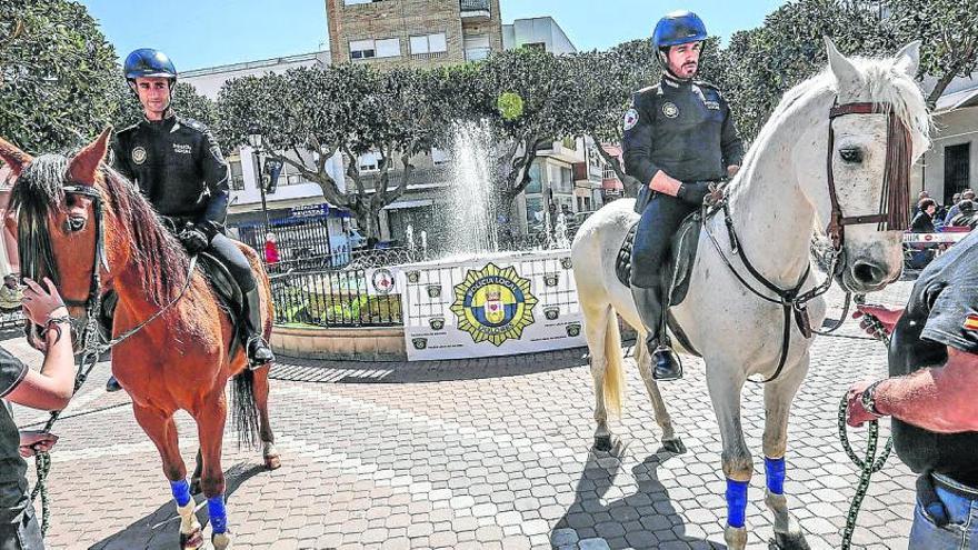 Los equinos hicieron ayer su primera aparición en público.