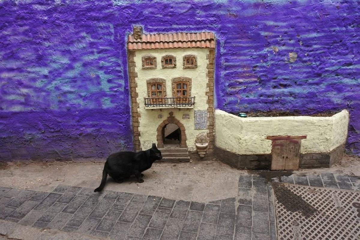 Casa de los Gatos del Barrio del Carmen de València.