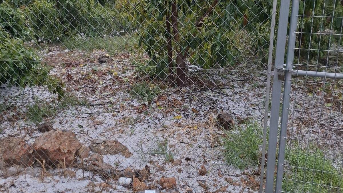 Daños por el granizo registrados en Nules.