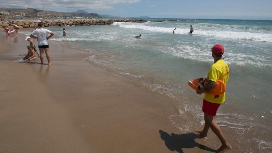 Unos 250 voluntarios limpiarán las playas de El Campello