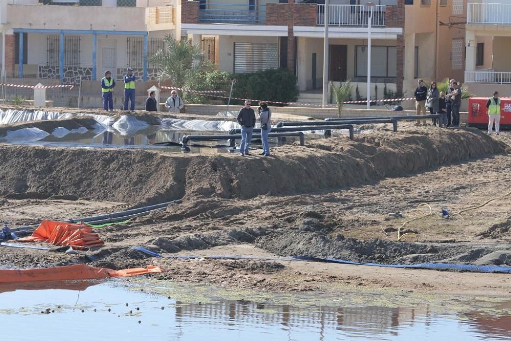 Así trabaja la brigada de limpieza en el Mar Menor