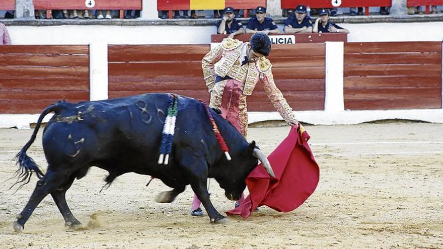 El debate de los toros