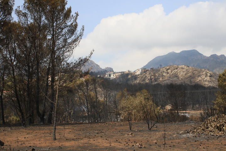 Incendio forestal entre Pinet, La drova y Marxuquera