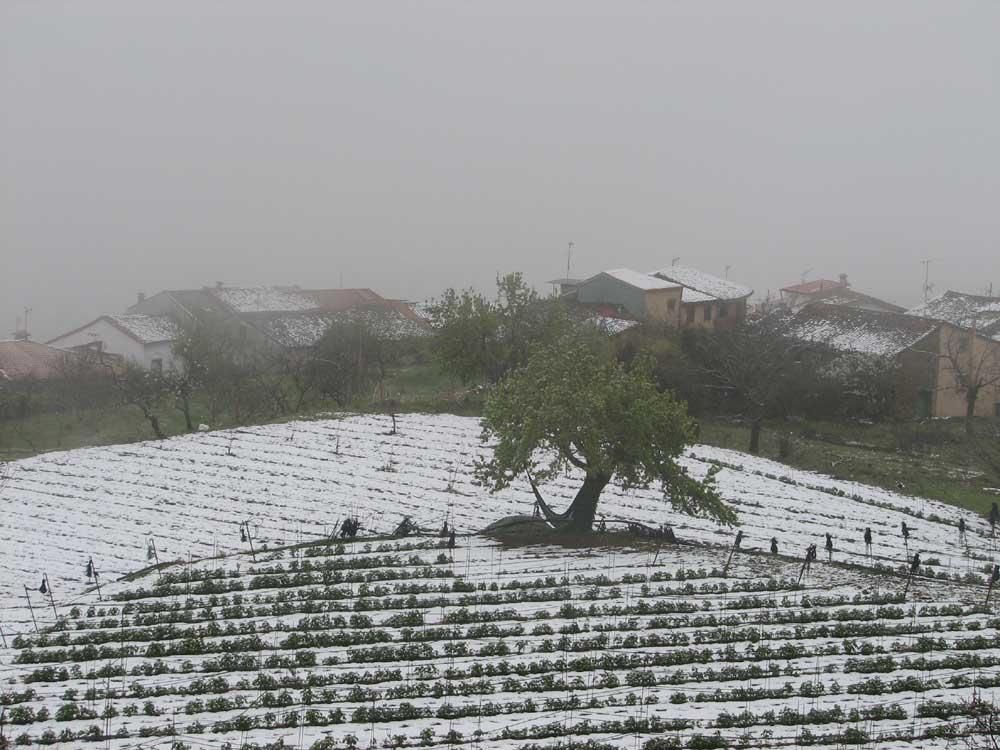 Nevada de primavera en Extremadura