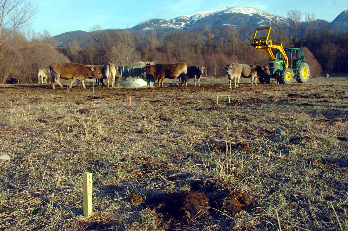 El campo de Prats i Sansor donde aparecieron las estacas para estudiar el trasvase del Segre.