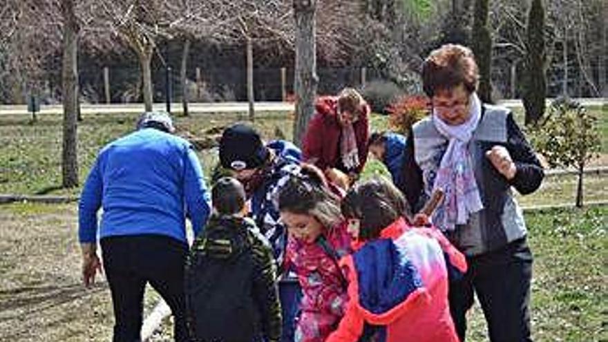 Actividad realizada el pasado año.