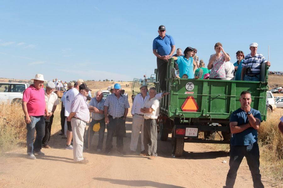 Fiestas en Zamora: Encierro en El Pego