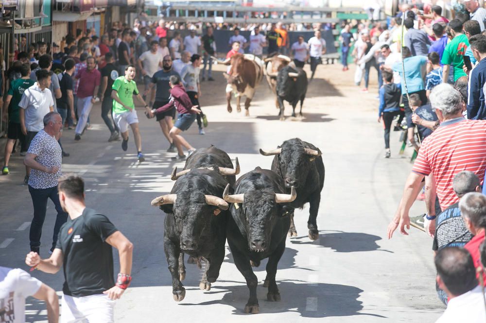 Festes de Sant Pasqual de Vila-real