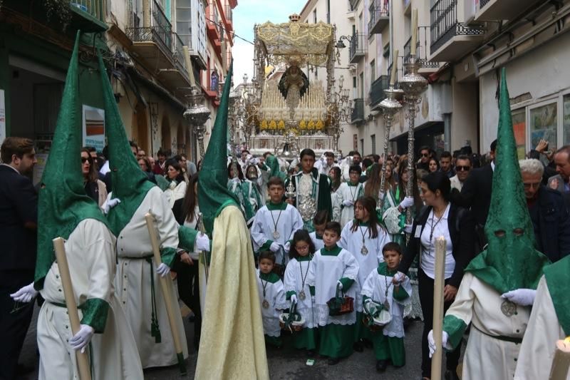 Domingo de Ramos de 2016 | Pollinica